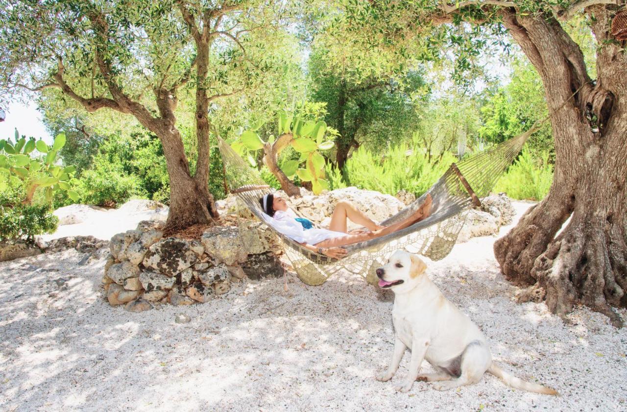 Puntebianche B&B เชจลีเมสซาปิกา ภายนอก รูปภาพ